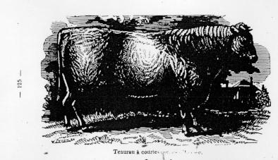 Page titre de A treatise of the theory and practice of agriculture