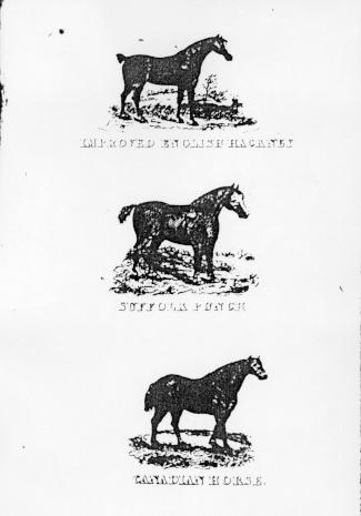 Page titre de A treatise of the theory and practice of agriculture