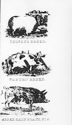 Page titre de A treatise of the theory and practice of agriculture