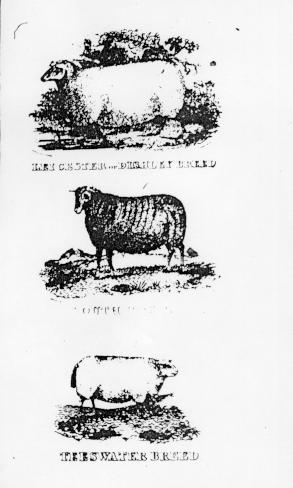 Page titre de A treatise of the theory and practice of agriculture