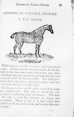 Page titre de The english spelling book