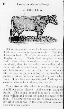 Page titre de The english spelling book