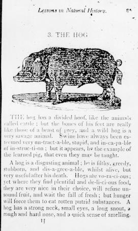 Page titre de The english spelling book