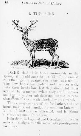 Page titre de The english spelling book