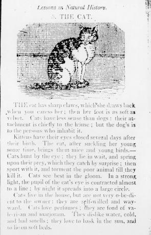 Page titre de The english spelling book