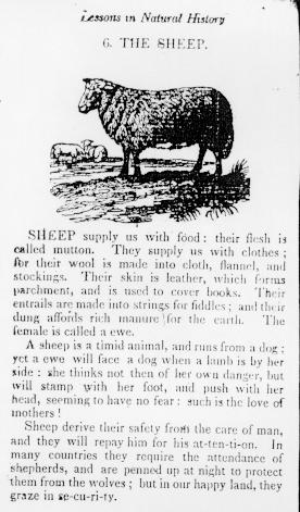 Page titre de The english spelling book