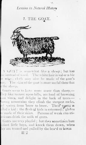 Page titre de The english spelling book