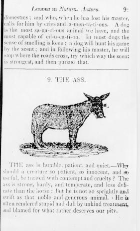 Page titre de The english spelling book