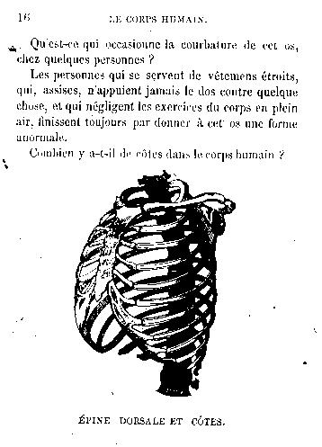 Page titre de Leons de physiologie humaine
