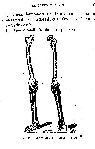 Page titre de Leons de physiologie humaine