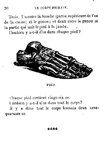 Page titre de Leons de physiologie humaine
