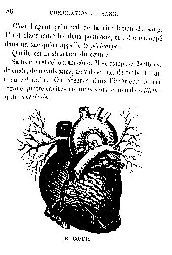 Page titre de Leons de physiologie humaine