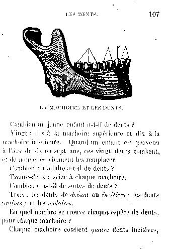 Page titre de Leons de physiologie humaine