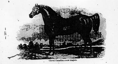 Page titre de A treatise of the theory and practice of agriculture