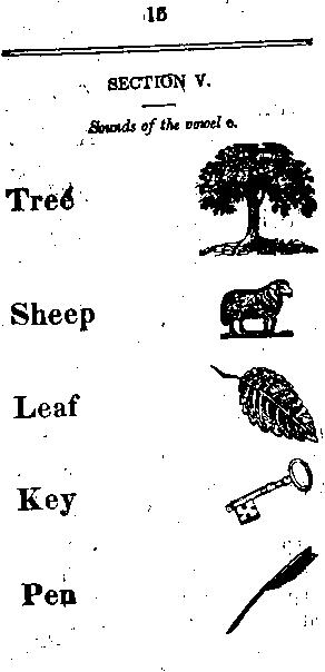 Page titre de The child's primer, or, first book for primaray schools