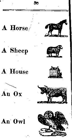 Page titre de The child's primer, or, first book for primaray schools