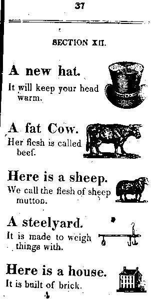 Page titre de The child's primer, or, first book for primaray schools