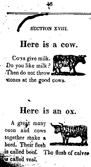 Page titre de The child's primer, or, first book for primaray schools
