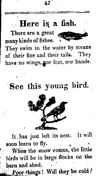 Page titre de The child's primer, or, first book for primaray schools