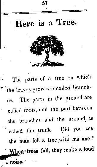 Page titre de The child's primer, or, first book for primaray schools