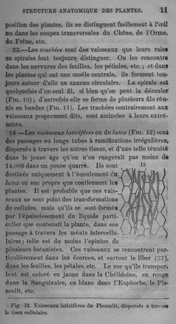 Trait lmentaire de botanique