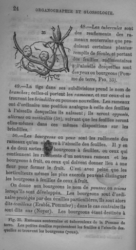 Trait lmentaire de botanique