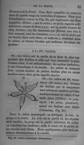 Trait lmentaire de botanique