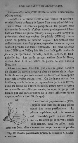 Trait lmentaire de botanique