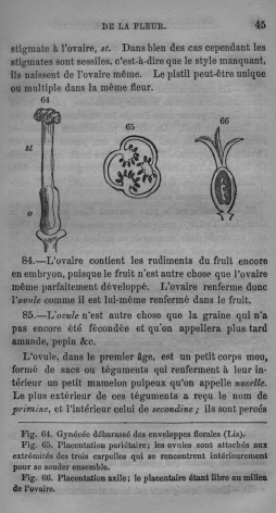 Trait lmentaire de botanique