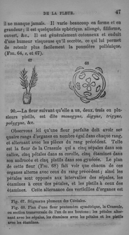 Trait lmentaire de botanique