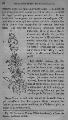 Trait lmentaire de botanique