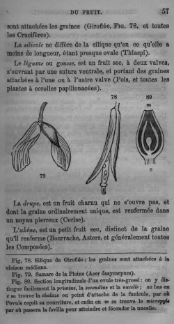 Trait lmentaire de botanique