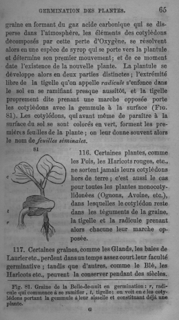 Trait lmentaire de botanique