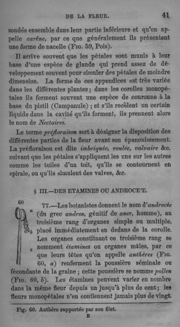Trait lmentaire de botanique