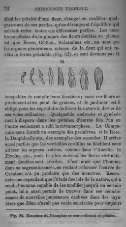 Trait lmentaire de botanique