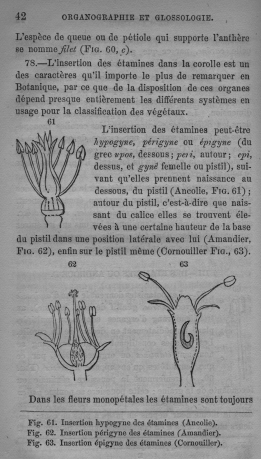 Trait lmentaire de botanique
