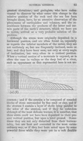 Fifth book of lessons:
 for the use of schools