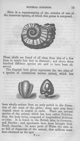 Fifth book of lessons:
 for the use of schools
