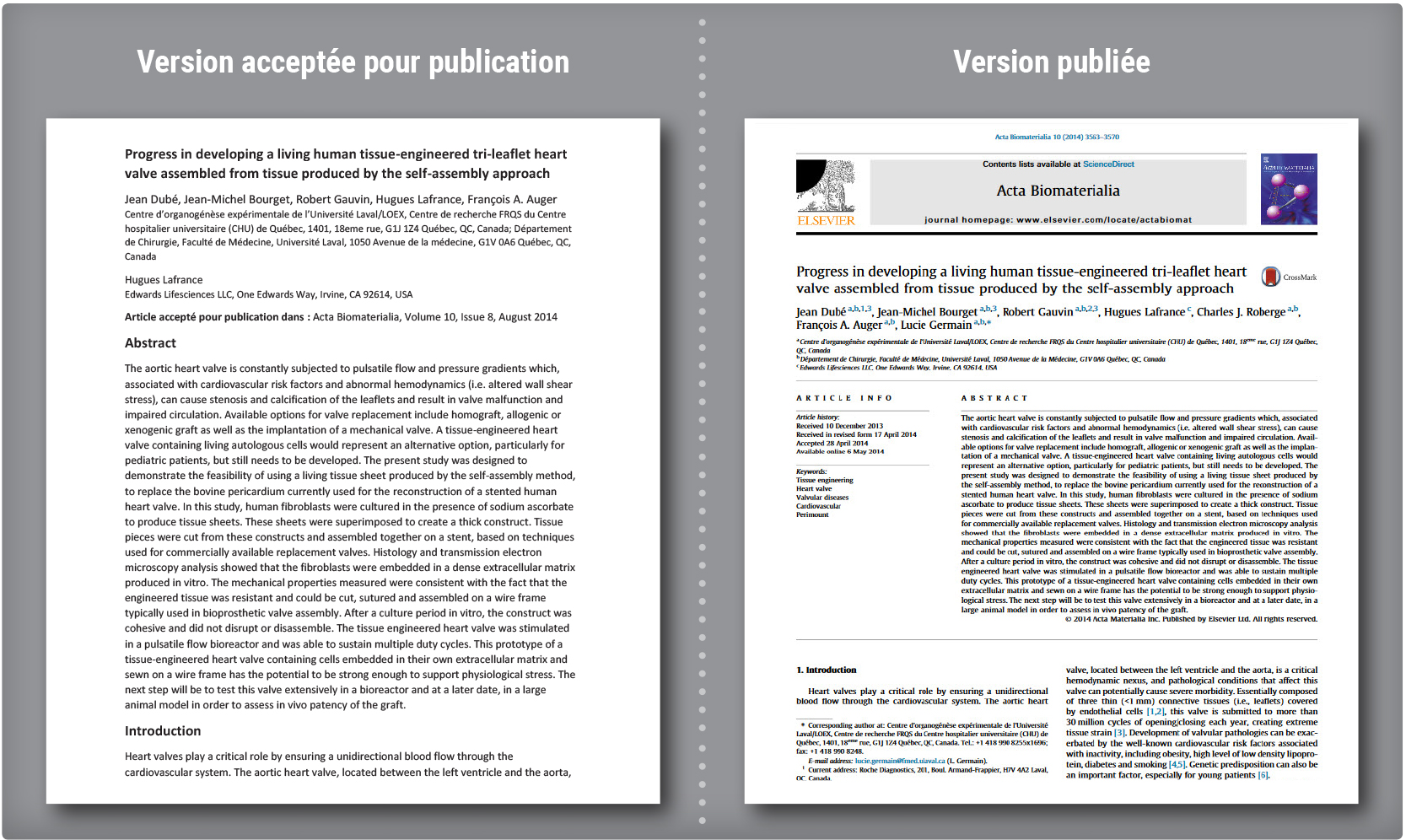 Schéma comparatif