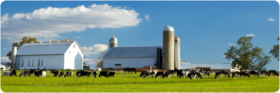 une ferme avec silo