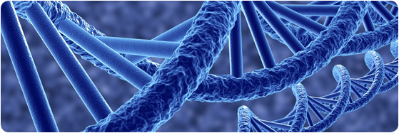 image double hélice d'ADN