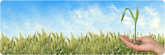 ambiance génie agroenv