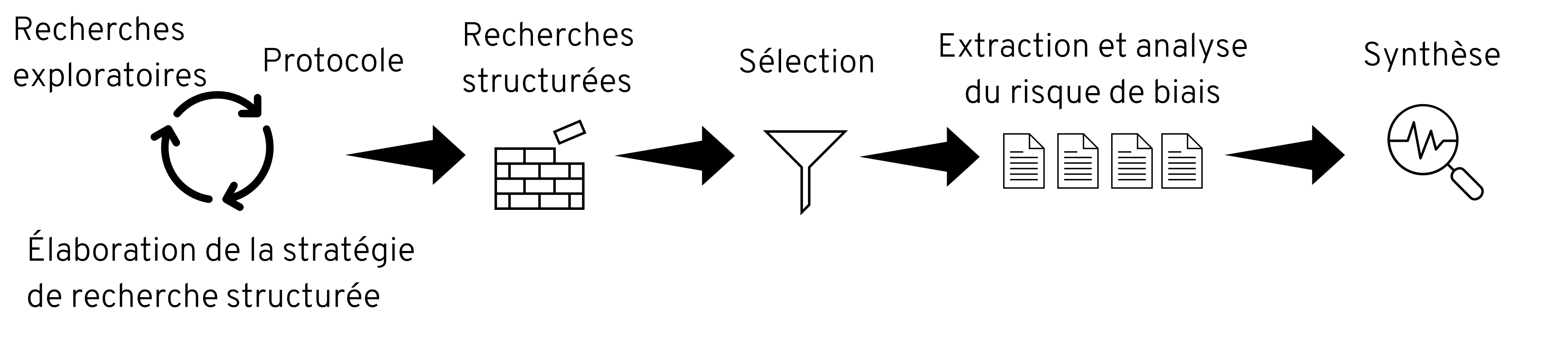 Processus d'une revue systématique