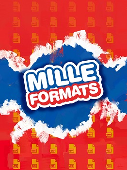 Logo-MilleFormats